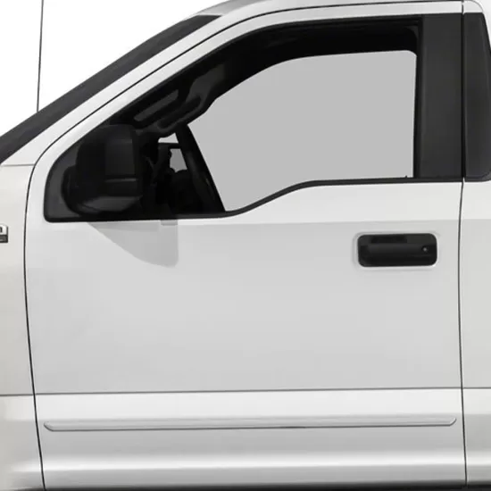  Ford F-150 Regular Cab Painted Body Side Molding 2015 - 2025 / FE-F15015-RC