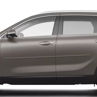 Kia Sorento Painted Body Side Molding 2016 - 2020