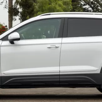 Volkswagen Taos Painted Body Side Moldings 2022 - 2024