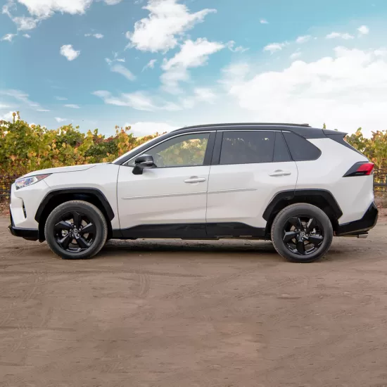  Toyota RAV4 Painted Body Side Molding 2019 - 2025 / FE7-RAV4-19