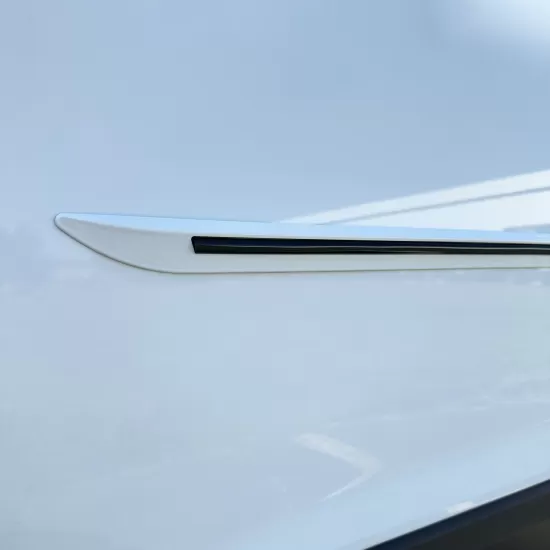 Honda Civic 4 Door Painted Moldings with a Color Insert 2016 - 2021