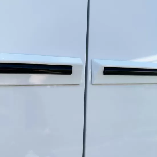 Honda Civic 4 Door Painted Moldings with a Color Insert 2016 - 2021