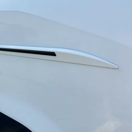 Honda Civic 4 Door Painted Moldings with a Color Insert 2016 - 2021