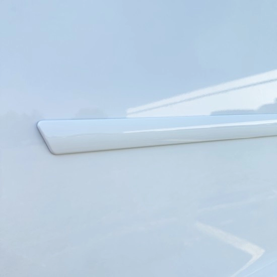 Nissan Altima 2 Door Painted Body Side Molding 2008 - 2014 / FE-ALT08-2DR (FE-ALT08-2DR) by www.Sportwing.com