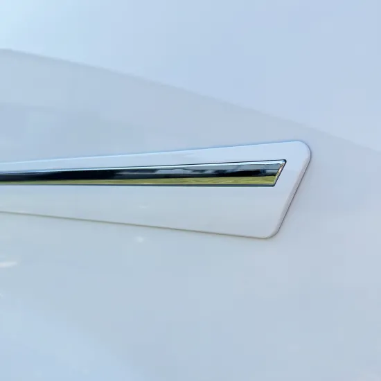 Toyota Tacoma Access Cab Painted Body Side Moldings with Chrome Inserts 2005 - 2023