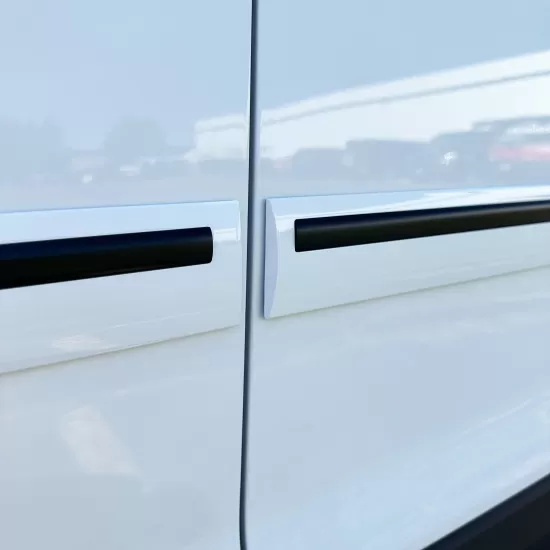  Toyota 4Runner Painted Moldings with a Color Insert 2010 - 2024 / CI2-4RUN | Sportwing