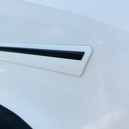  Toyota 4Runner Painted Moldings with a Color Insert 2010 - 2024 / CI2-4RUN | Sportwing