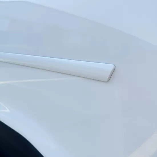  Subaru Legacy Painted Body Side Molding 2010 - 2025 / FE-LEGACY | Sportwing