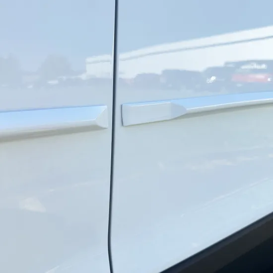 Ford Mustang Mach-E High Painted Body Side Moldings 2021 - 2026