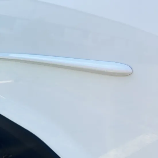 Ford Mustang Mach-E High Painted Body Side Moldings 2021 - 2026