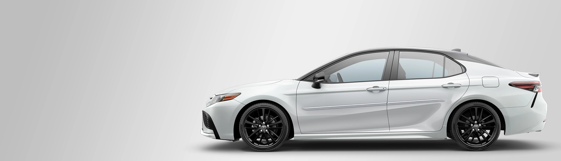 Painted Body Side Moldings