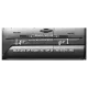 Toyota Tacoma Regular Cab Painted Body Side Moldings 2005 - 2020